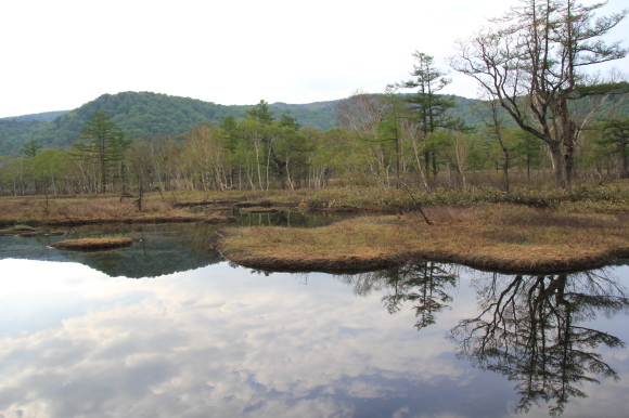 f0370599_12593696.jpg