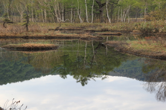 f0370599_13013136.jpg