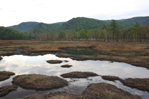 f0370599_13014045.jpg
