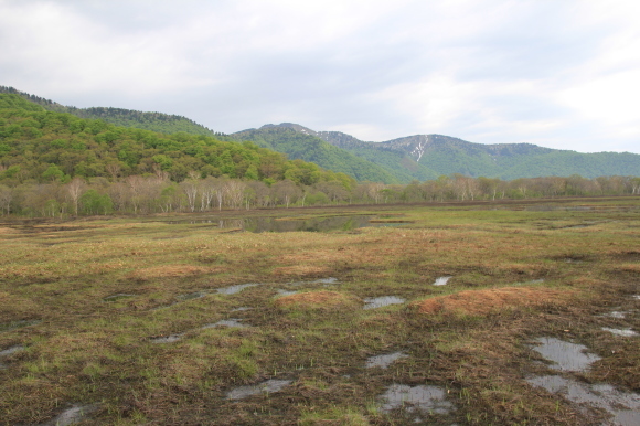 f0370599_13073639.jpg