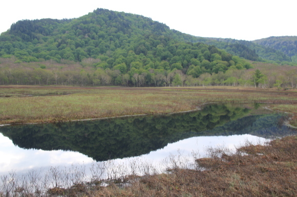 f0370599_13171482.jpg