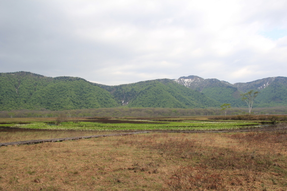 f0370599_13181656.jpg