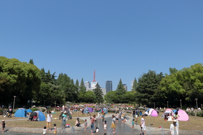 f0083400_19063743.jpg