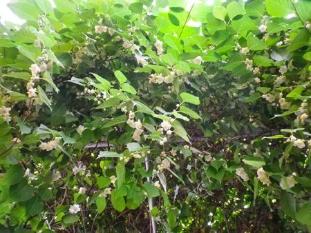 f0239100_00024014.jpg