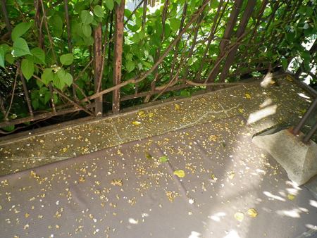 f0239100_00110352.jpg