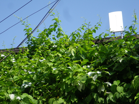 f0239100_00504374.jpg