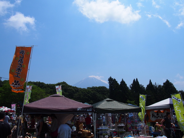 d0293002_127999.jpg