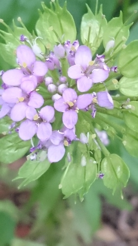 e0351303_22134535.jpg