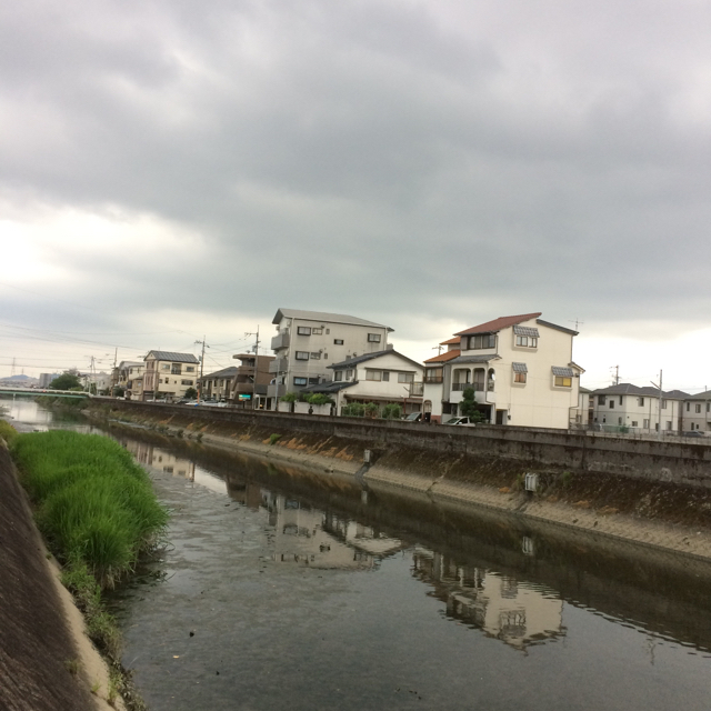 d0169411_19251737.jpg