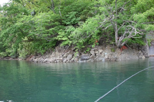 c0232813_23141911.jpg