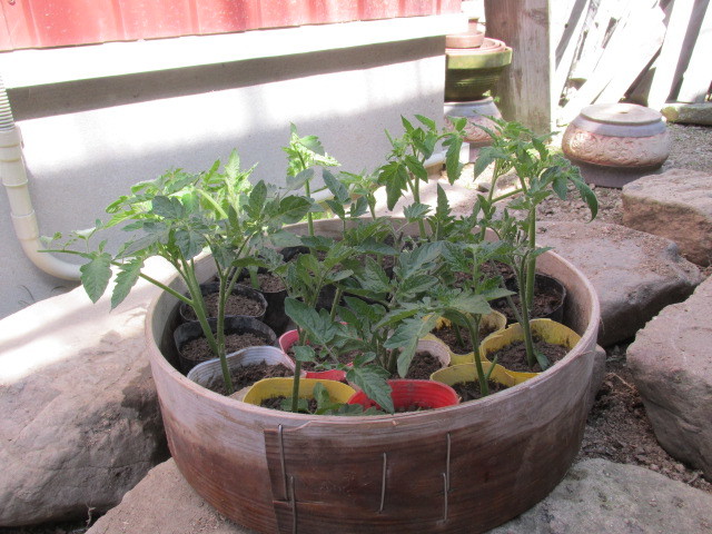 f0341616_15363630.jpg