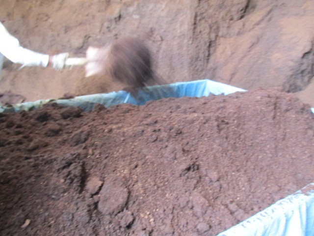 f0341616_16091310.jpg