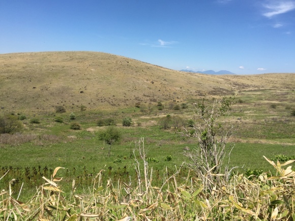 c0210618_23535774.jpg