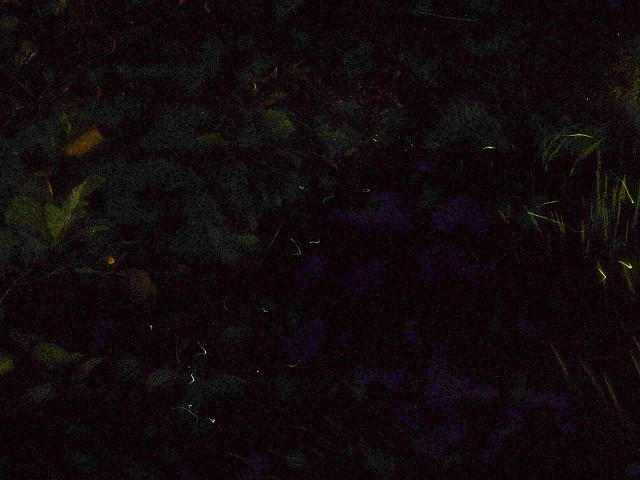 d0295818_23084621.jpg