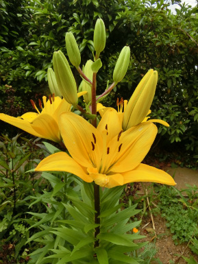 f0354923_06584597.jpg