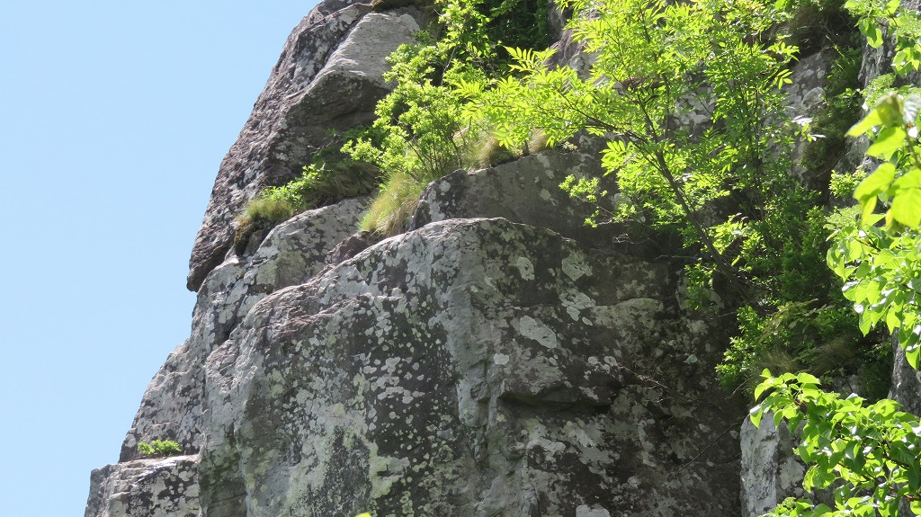 e0213627_21222092.jpg