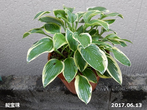e0033229_20493453.jpg
