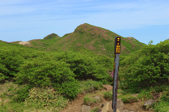 e0272335_20102738.jpg