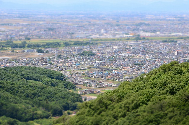f0207943_10422167.jpg
