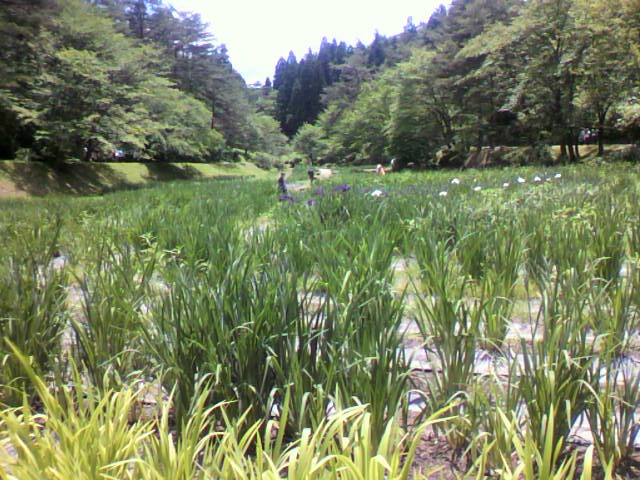 a0111545_1019821.jpg