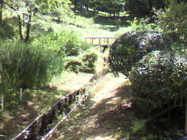 a0111545_12595831.jpg