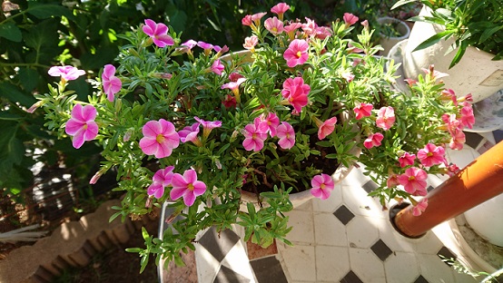 f0087347_22471567.jpg