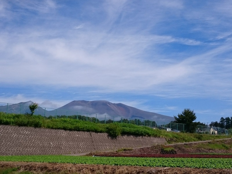 d0306248_21544941.jpg