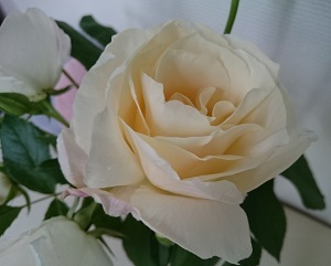 d0306248_22413303.jpg