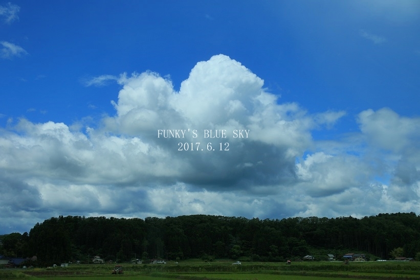 （約３ヶ月ぶりに）ドッグラン♪ - FUNKY'S BLUE SKY