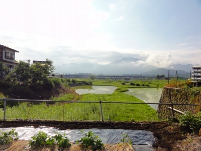 d0074063_07342286.jpg