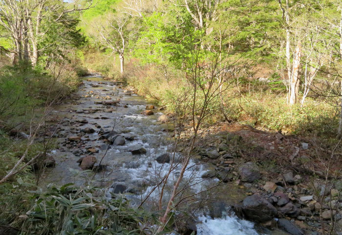 e0128863_22120639.jpg