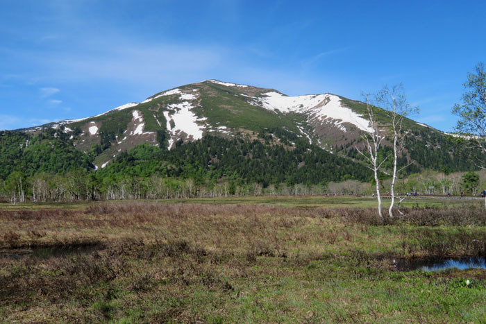 e0128863_22211290.jpg