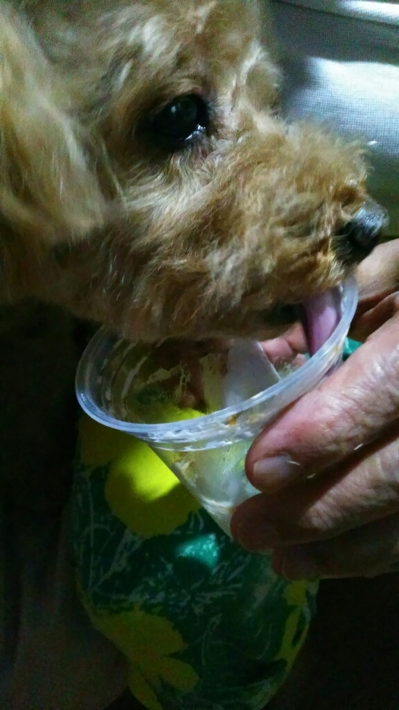 c0162773_00432935.jpg