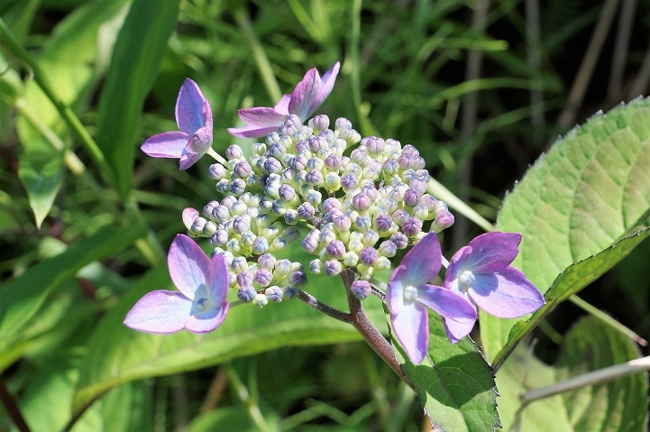 c0248473_21282377.jpg