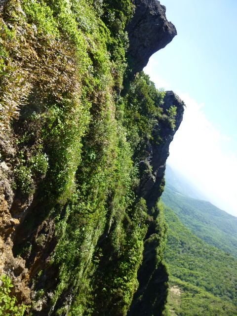 f0171788_21493059.jpg