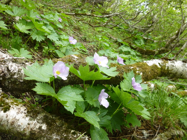 f0171788_2158687.jpg