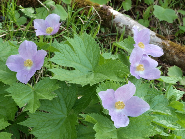 f0171788_2225179.jpg