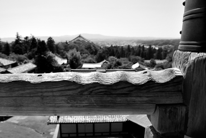 f0377688_12265941.jpg