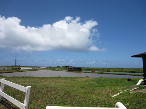 a0290690_08311176.jpg