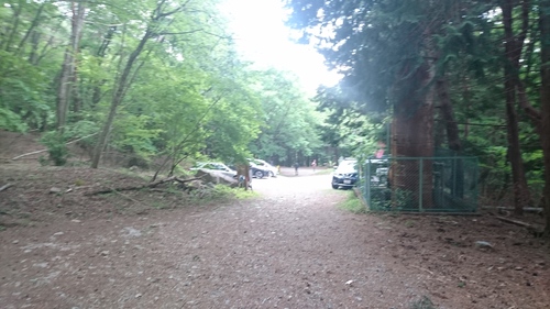 e0015490_22453456.jpg