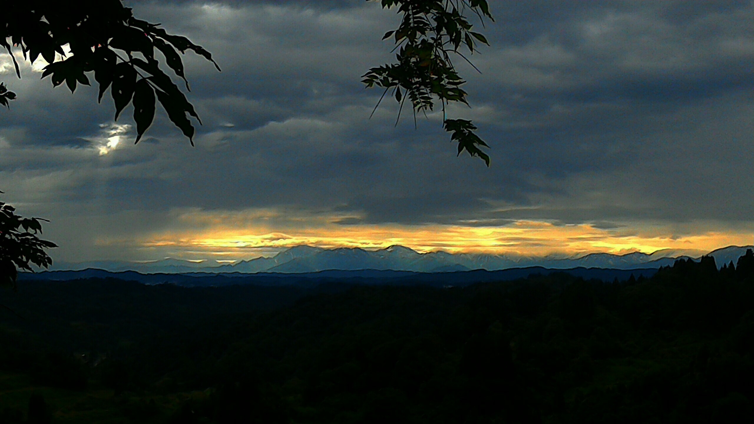 c0067206_17362045.jpg