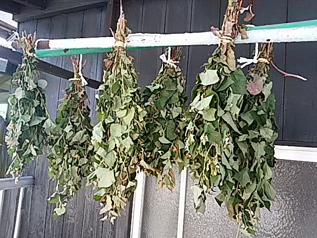 f0231709_21021360.jpg