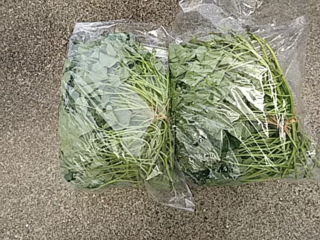 f0231709_21401835.jpg