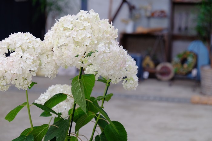 a0234410_08210697.jpg
