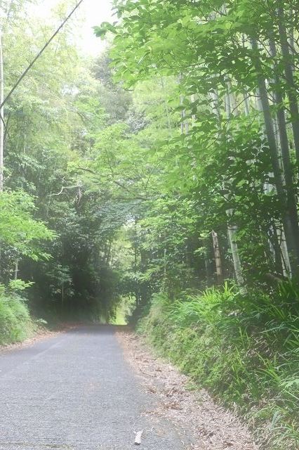 f0204110_21161643.jpg