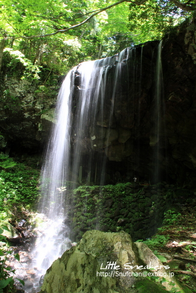 a0068913_15035381.jpg