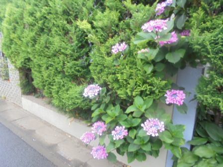 b0017215_06424696.jpg