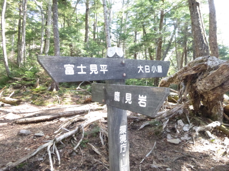 d0170615_20191407.jpg
