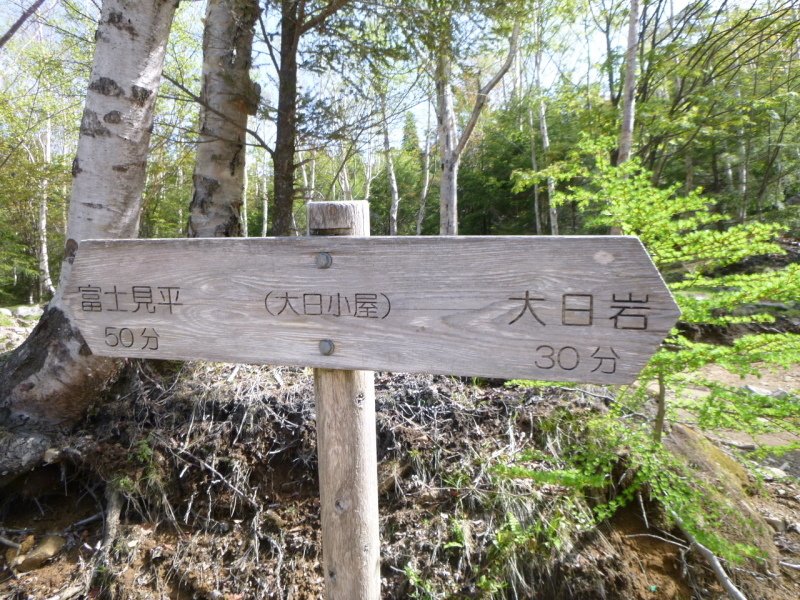 d0170615_20194819.jpg