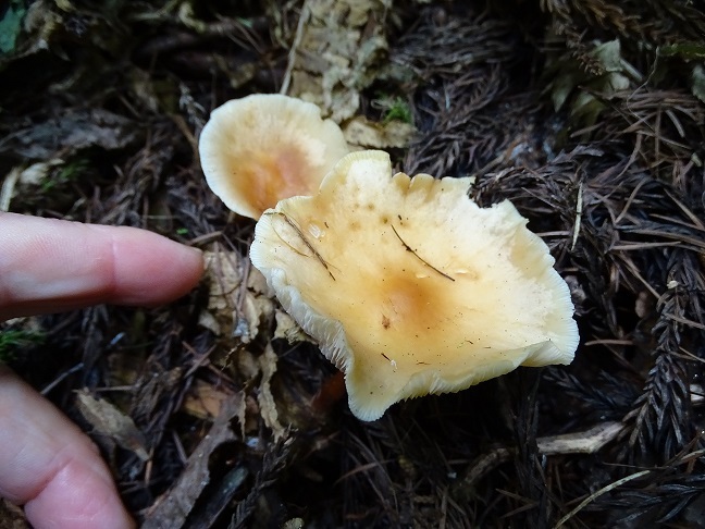 f0360815_16054334.jpg